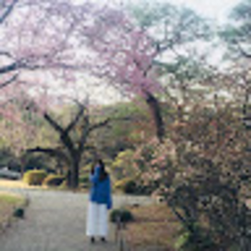 Meet your Posher, Kim thien huong